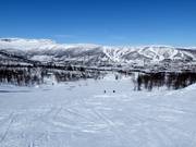 Pista facile Kikut n. 68