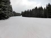 Facile pista di collegamento tra Stübenwasenlift e Kapellenlift