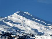 Back Country al Far West T-Bar