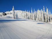 Inizio della pista Cahilty