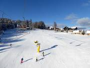 Ideale per famiglie e principianti