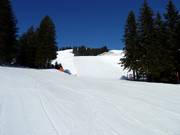 Discesa FIS maschile Weiherkopf