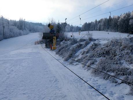 Comprensori sciistici per famiglie Alto Palatinato – Famiglie e bambini Hohenbogen - Neukirchen bei Hl. Blut