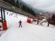 La pista facile incontra la pista di media difficoltà