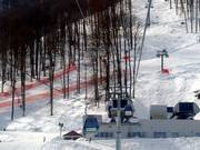 Zapovedniy les - 8pers.| Telecabina (Monofune)