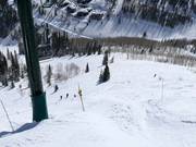 Scogliere presso la seggiovia Lady Morgan Express