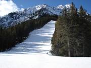 Ampia e ripida discesa nel bosco