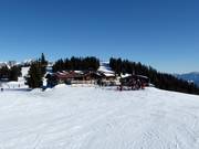 Suggerimento su Rifugi Jochstub'n