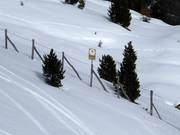 Le aree forestali protette non possono essere percorse