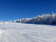 Pista facile e larga presso lo skilift Almwiesenlift