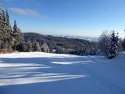 Pista panoramica n. 4