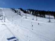 Vista sulle piste sul versante nord