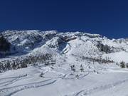 Area di neve fresca al Thaneller