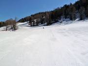 Area principianti presso gli Härderalifte sulla Hannigalp