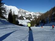 Partenza discesa Hahnlgraben