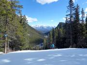 Pista intermedia Knight Flight