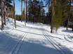 Sci di fondo Nord Finlandia – Sci di fondo Pyhä
