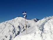 Segnaletica delle piste