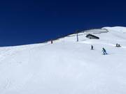 Pista difficile Fopps