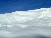 Stupendi pendii di neve fresca sul lato posteriore del Metschstand