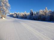 Ottima preparazione delle piste a Mitterdorf