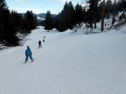 Facile discesa Donauwellen