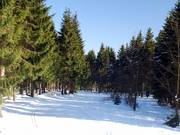 Pista da fondo al Bremberg