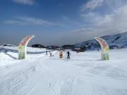 Suggerimento per i più piccoli 