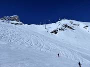 Vista sulle discese Hockenhorn e Petersgrat