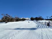 Cruiser Area a Thredbo