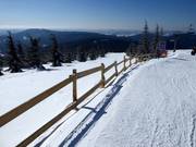 Lasciare le piste è severamente vietato.