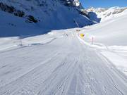 Discesa standard dal Trübsee a Engelberg