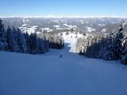 Grebenzenschuss nero