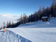 Pista di allenamento n. 10