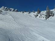 Discesa presso la Glattjochbahn