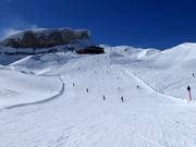 IF4 discesa Schäfalp, in alto