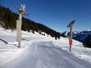 Suggerimento per i più piccoli 