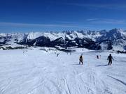 Facile discesa Schäfalp