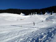 Area principianti con skilift a fune a Grasgehren