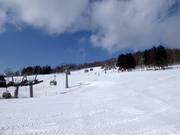 Fine delle piste Eva e Bambi