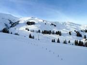 Pendii di neve fresca tra Lavey e Sillerenbühl