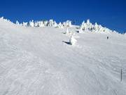 Crystal Run attraverso la Crystal Bowl