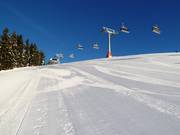 Pista appena preparata