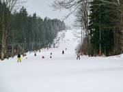 Vista lungo lo skilift parallelo e la seggiovia monoposto