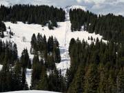 TK des Bosses - Skilift a piattello