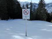 Indicazione sulla foresta da proteggere