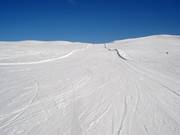 Discesa Familiebakken