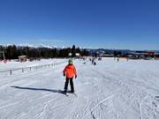 Pista facile presso lo skilift per principianti (skilift a fune)