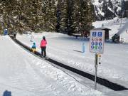 Nastro trasportatore Thaneller