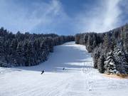 Pista Europacup-Hang